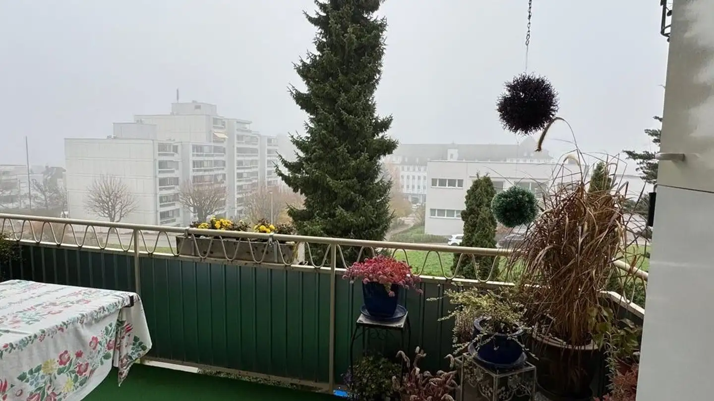 Appartamento in affitto - Hombergstrasse 71, 4600 Olten - Photo 3