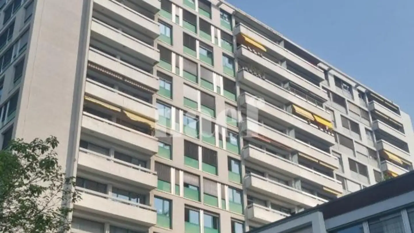 Wohnung mieten - Avenue Ernest- Pictet 22, 1203 Genève