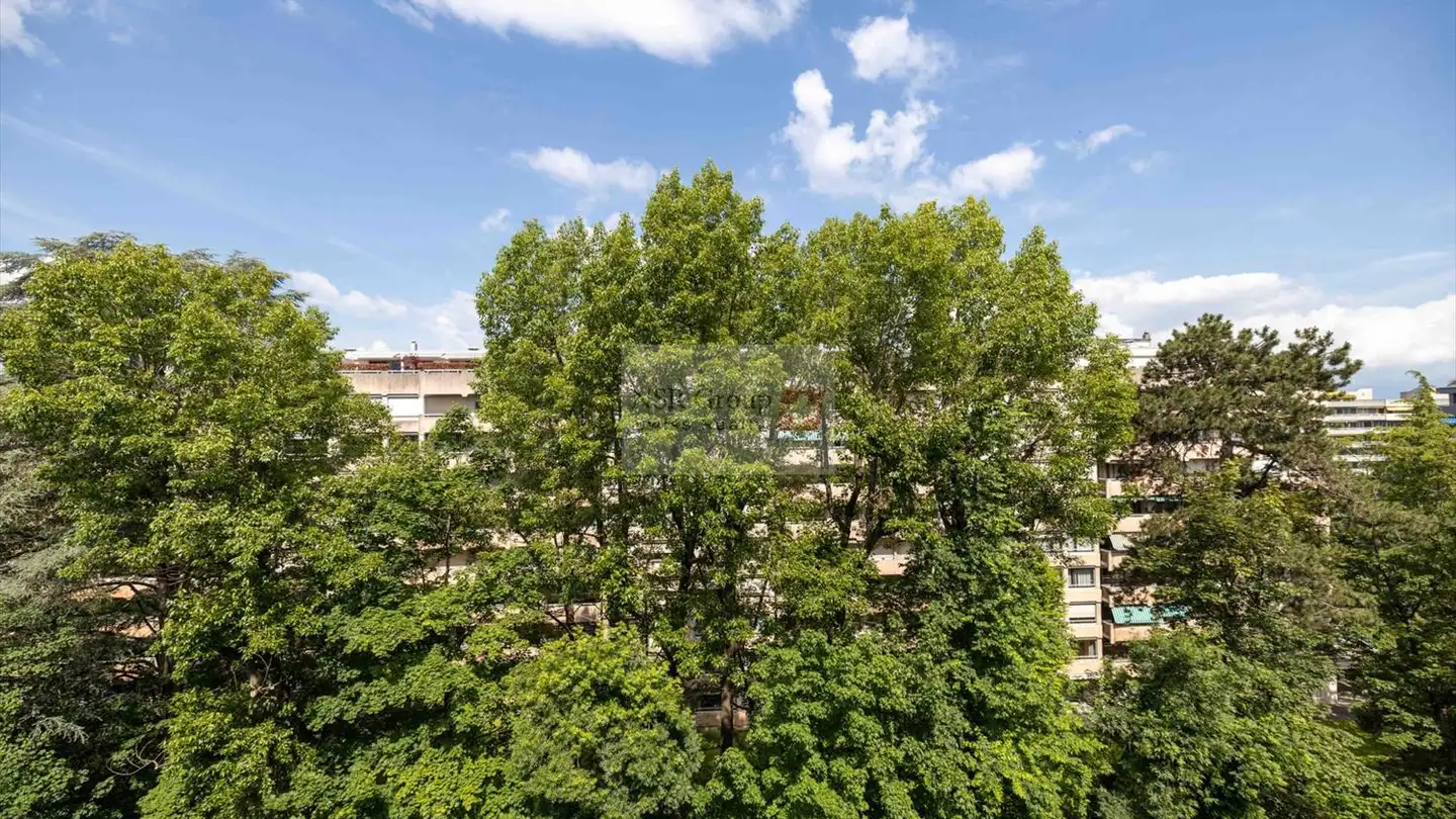 Appartamento in vendita - Avenue Eugène- Pittard, 1206 Genève - Photo 4