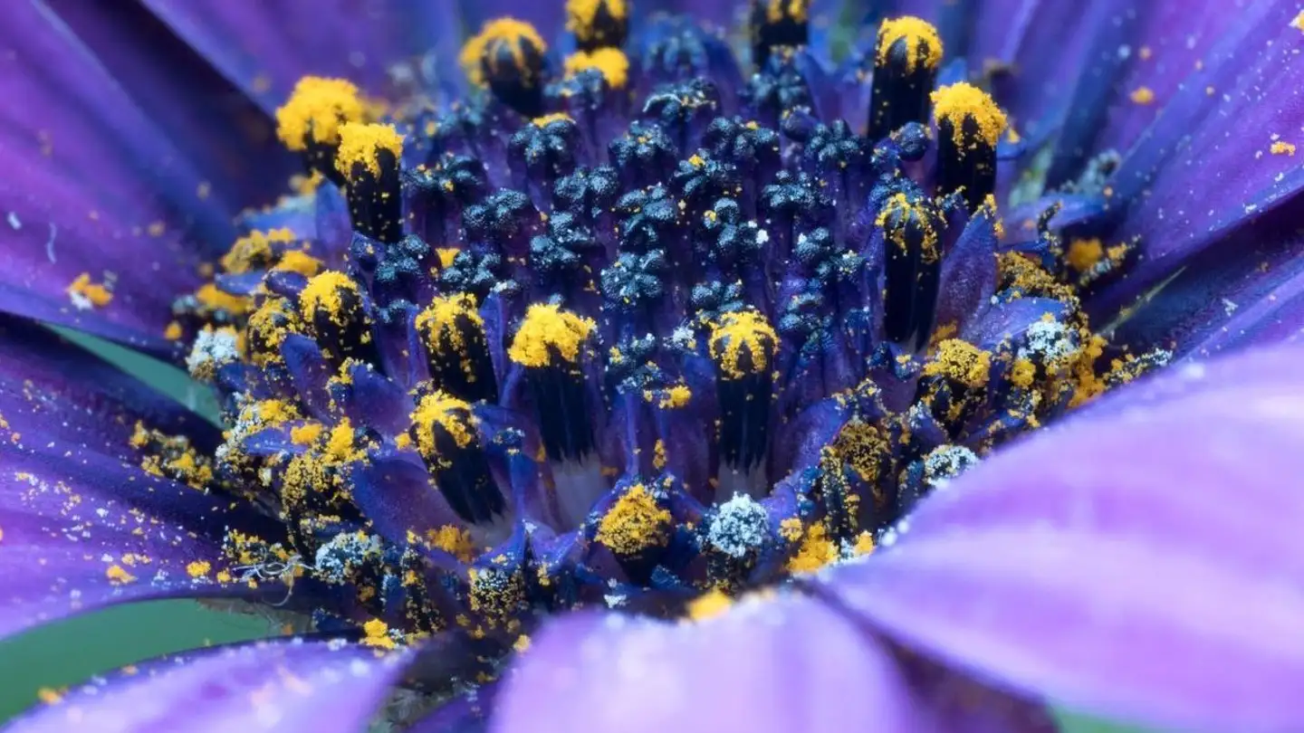 Apartment for sale - Wilhofstrasse 32, 8125 Zollikerberg