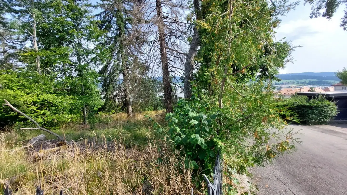 Bauland kaufen - 2300 La Chaux-de-Fonds - Foto 3