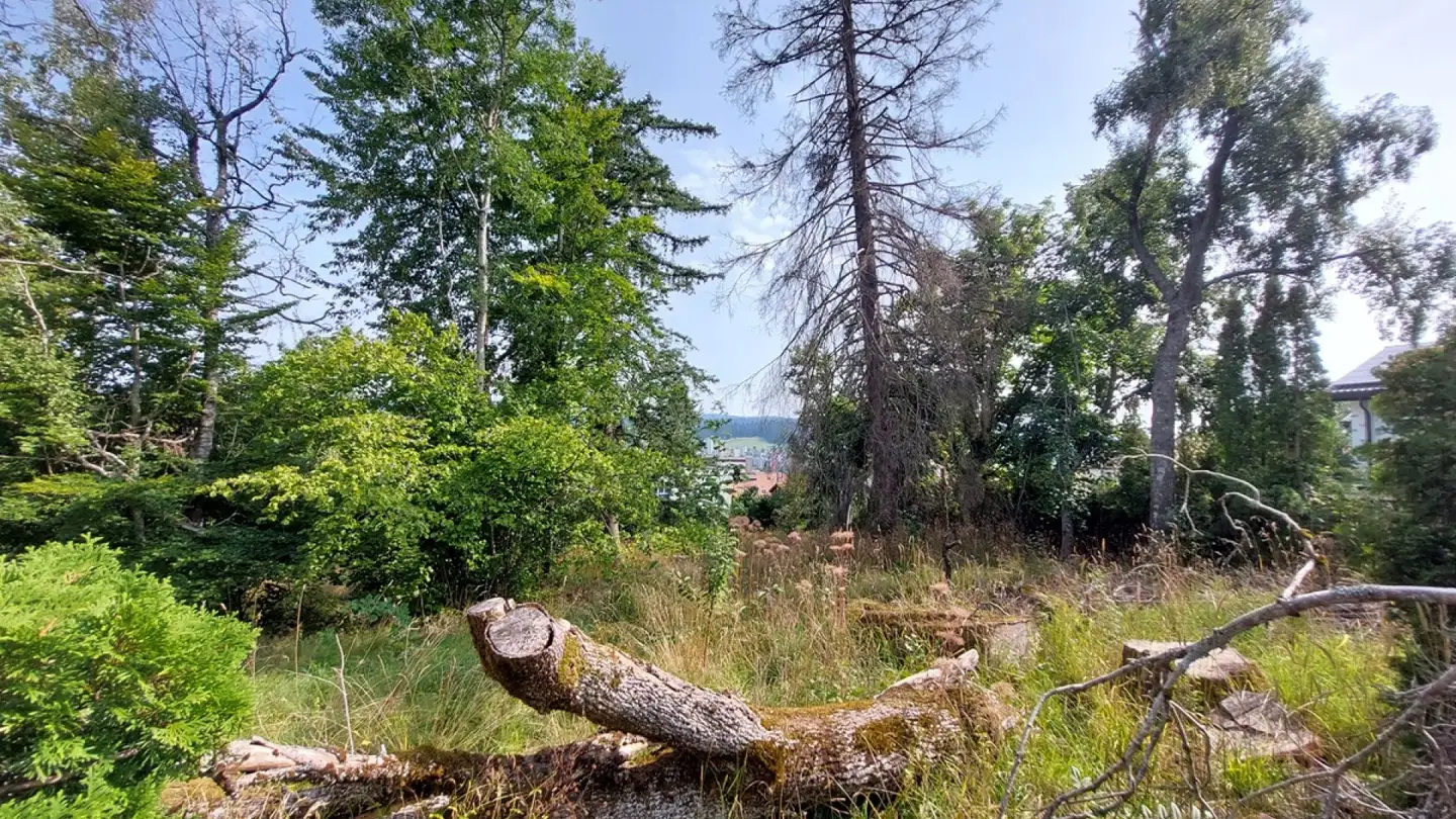 Bauland kaufen - 2300 La Chaux-de-Fonds - Foto 2