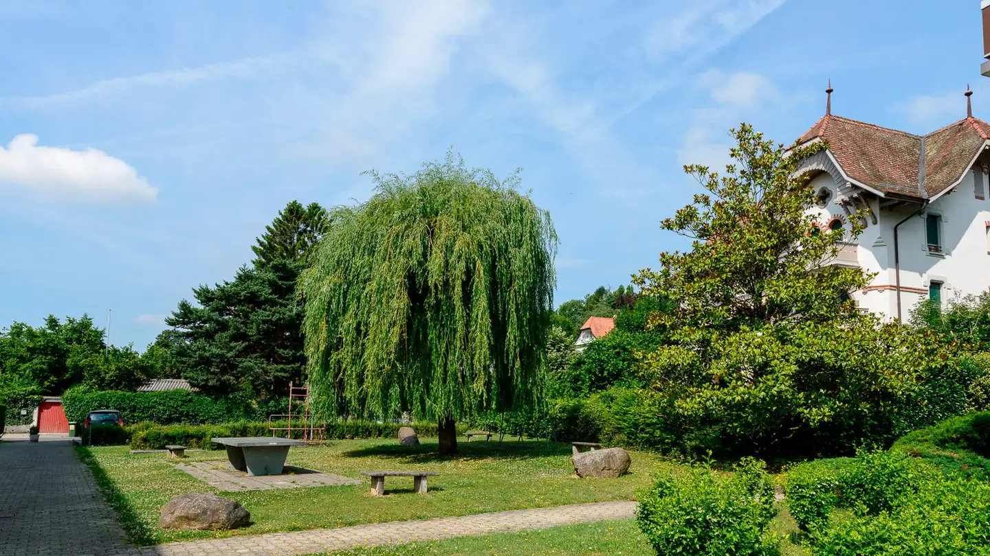 Appartement à louer - Avenue De Chanel 35, 1110 Morges - Photo 2