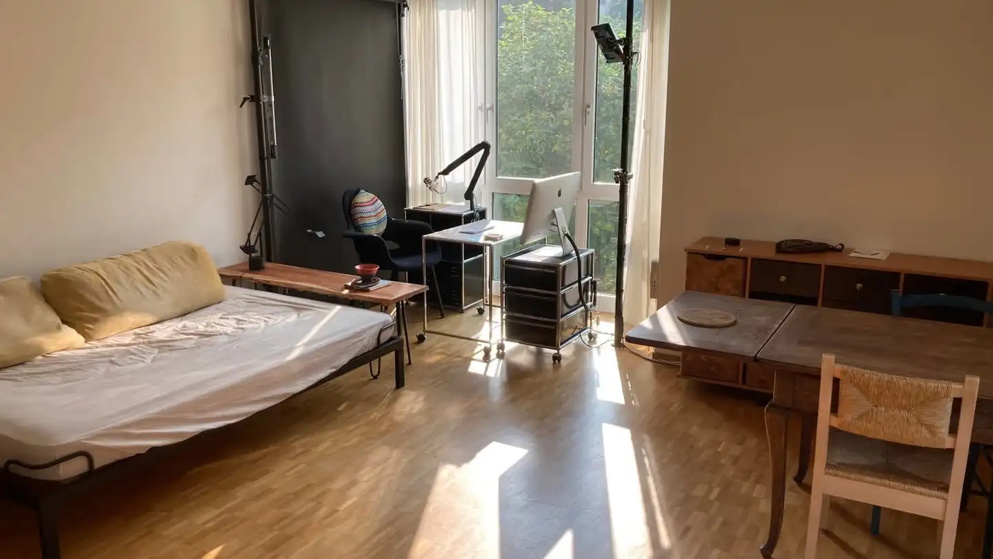 Stepped apartment for rent - Wieslergasse 14, 8049 Zürich - Photo 4