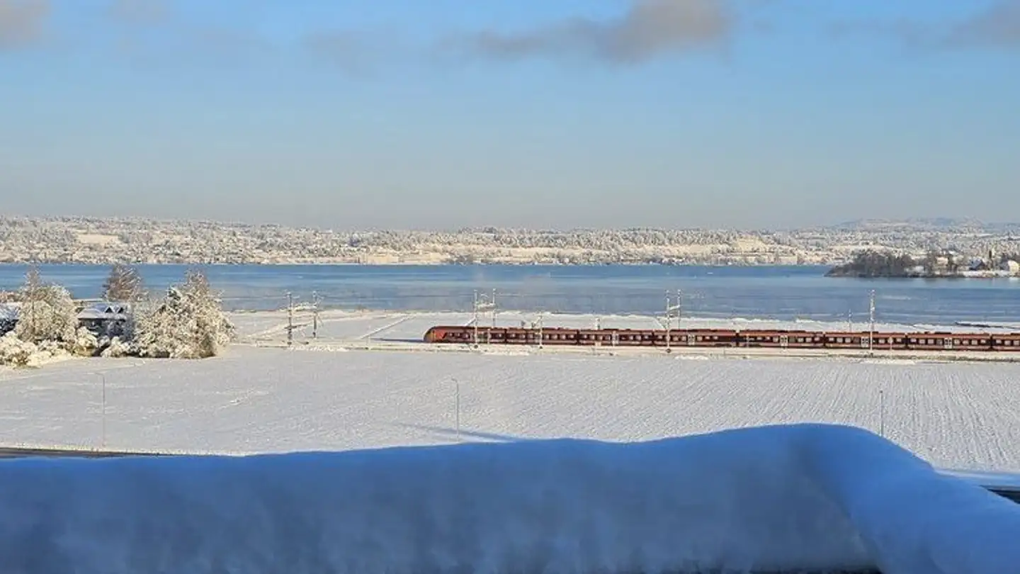 Appartement à louer - Eichholzstrasse 19e, 8808 Pfäffikon SZ