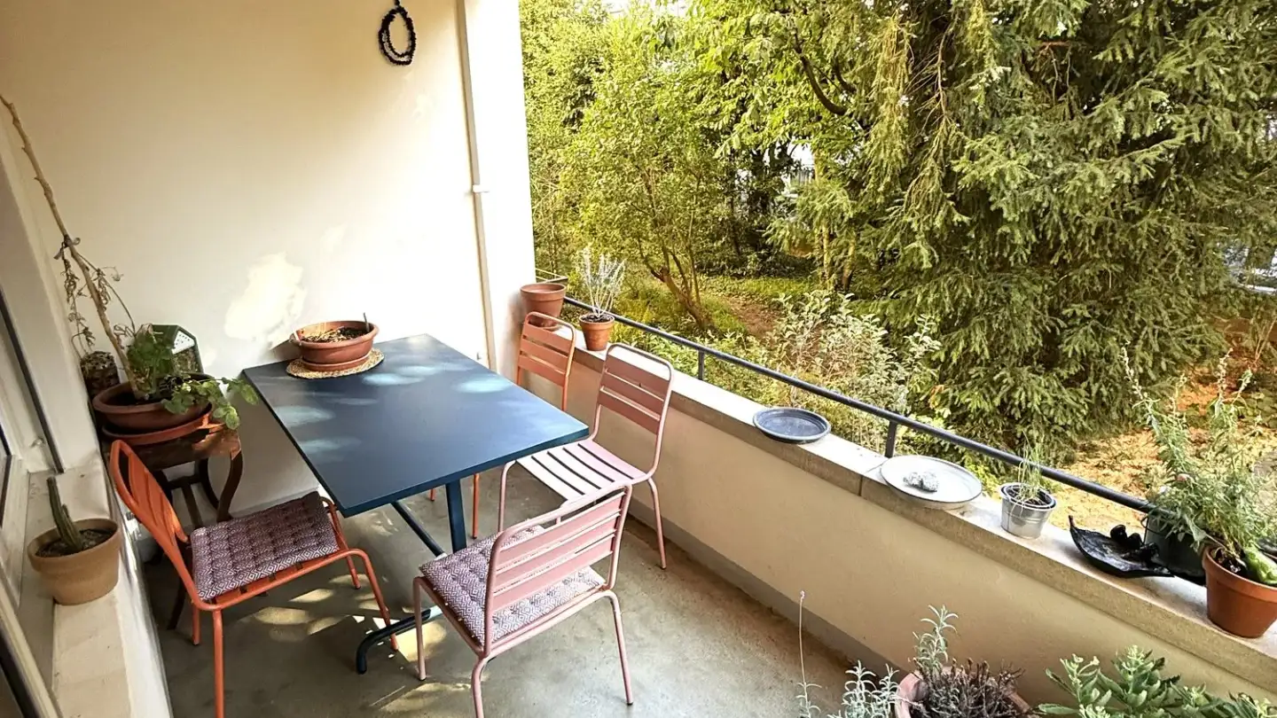 Appartamento in affitto - Belpstrasse 17, 3007 Bern - Foto 4