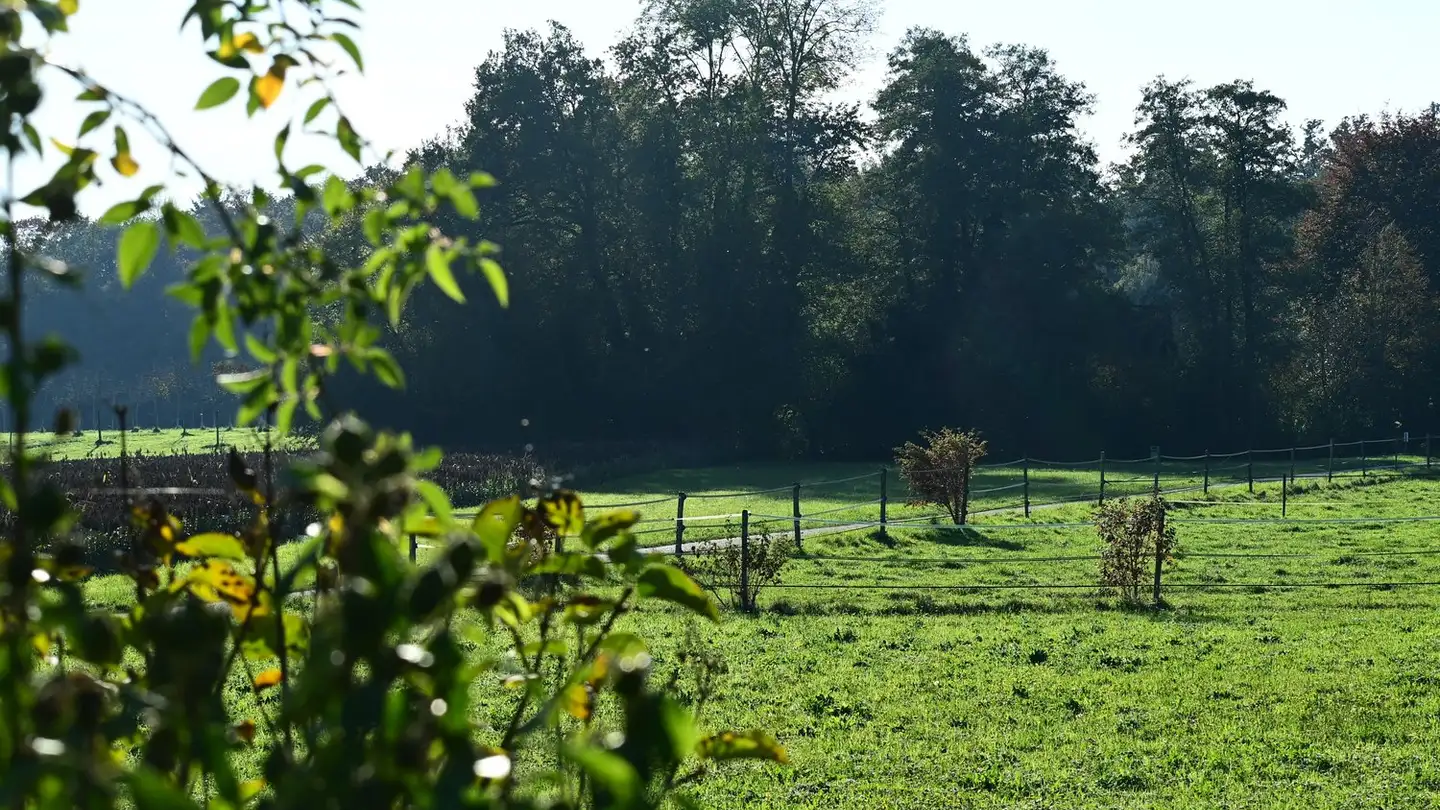 Reihenhaus kaufen - Kleinbrühlgässli 18, 2545 Selzach