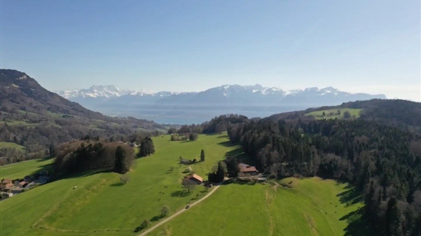 Fattoria in vendita - 1618 Châtel-St-Denis