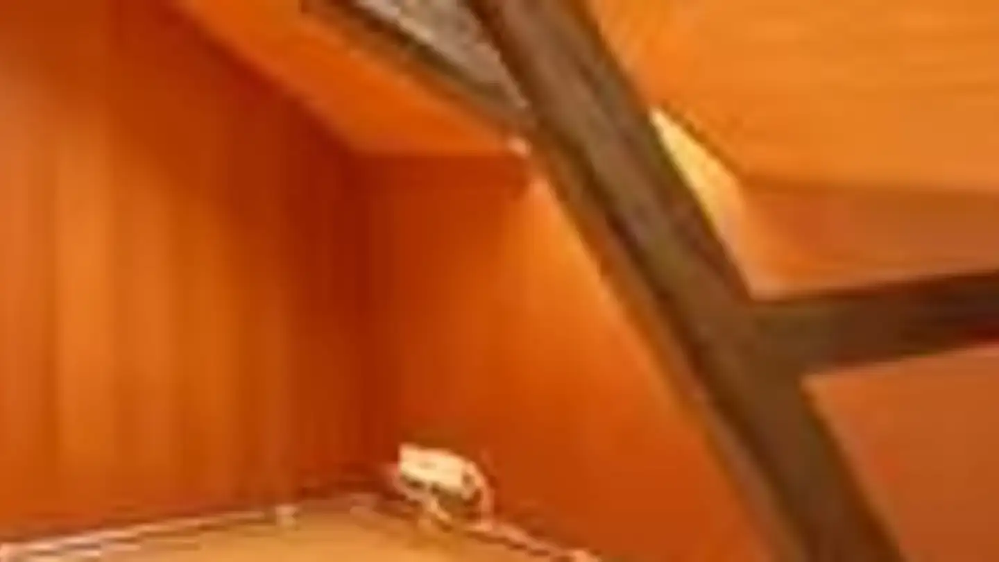 Wohnung mieten - Lindenstrasse 35, 4935 Leimiswil - Foto 3