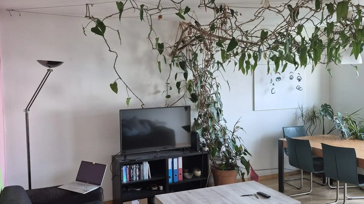 Chambre à louer - Greithstrasse, 8640 Rapperswil SG