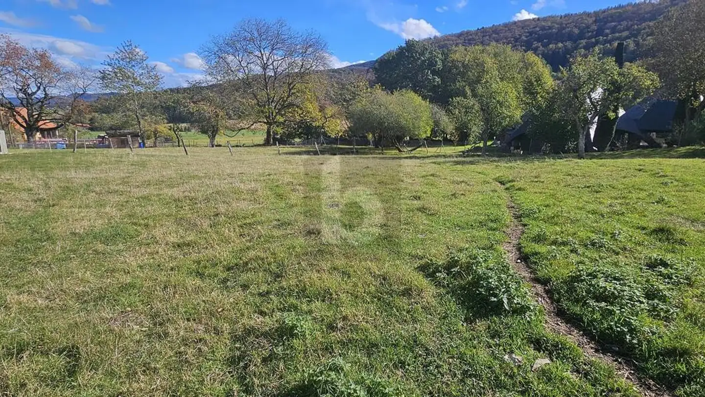 Maison troglodyte à vendre - 2904 Bressaucourt