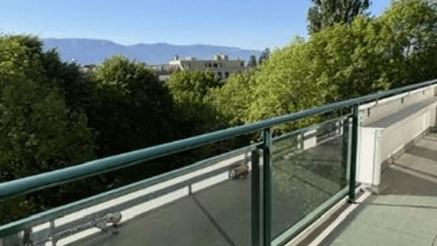 Appartement à louer - Rue De Moillebeau 50, 1209 Genève