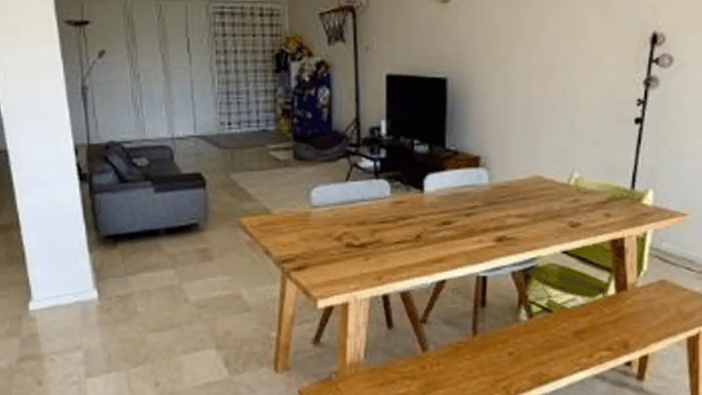 Appartement à louer - Rue De Moillebeau 50, 1209 Genève - Photo 3