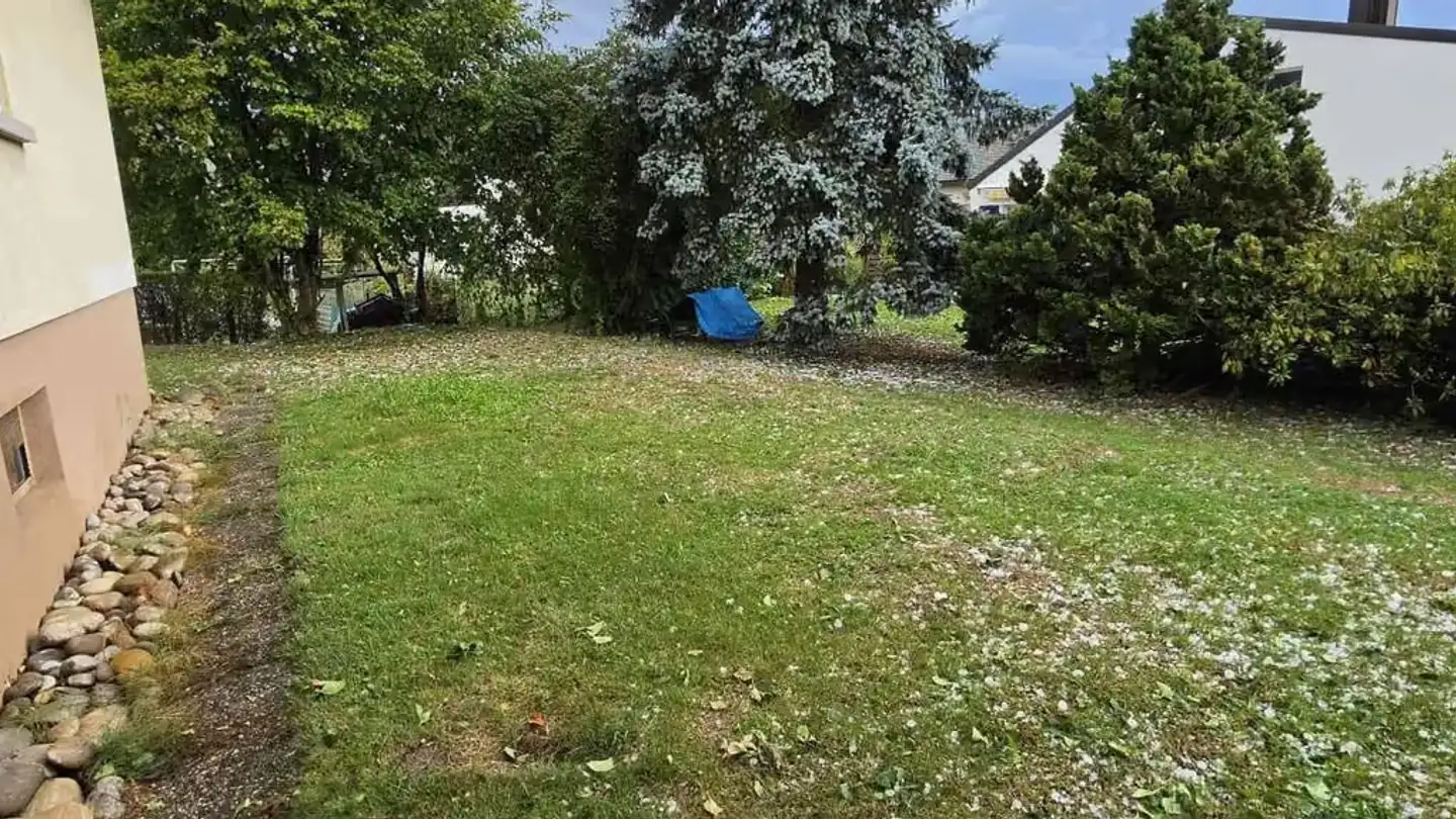 Casa singola in affitto - Grenzweg 1, 5032 Aarau Rohr - Foto 3