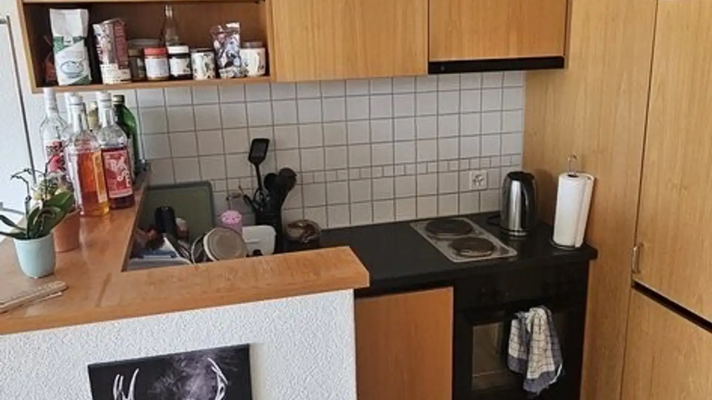 Apartment for rent - Rue De La Perrausa 10, 1632 Riaz - Photo 4