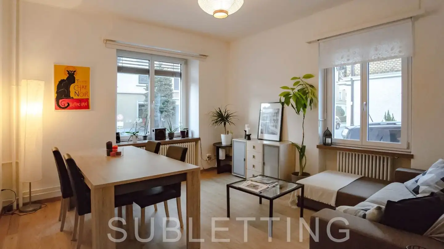 Appartement à louer - Dubsstrasse, 8003 Zürich