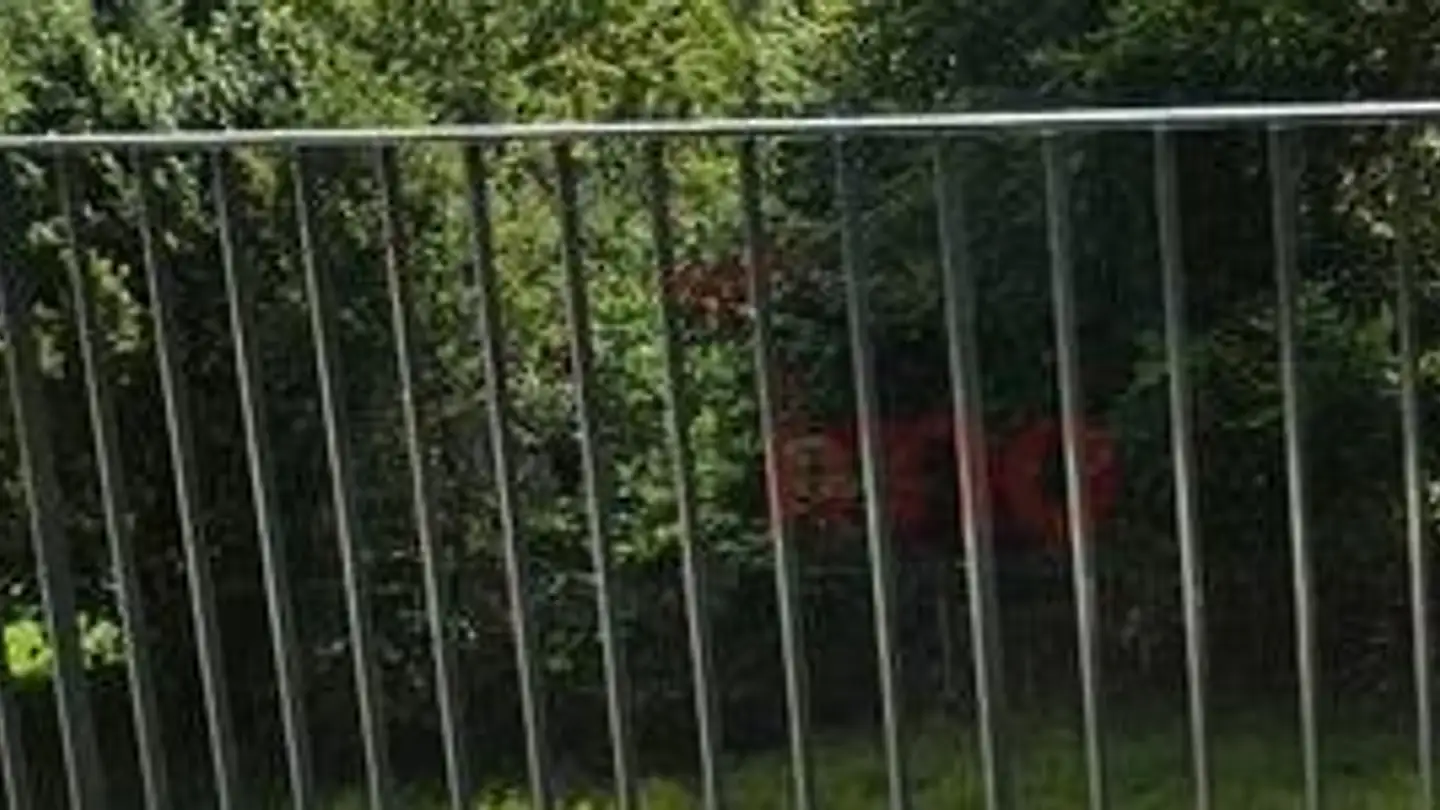 Wohnung mieten - Chemin des Chenevières 2, 1863 Le Sépey