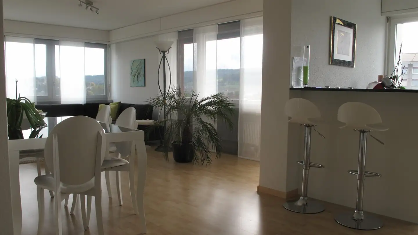 Appartamento in affitto - Spitalstrasse 31, 8952 Schlieren - Foto 3