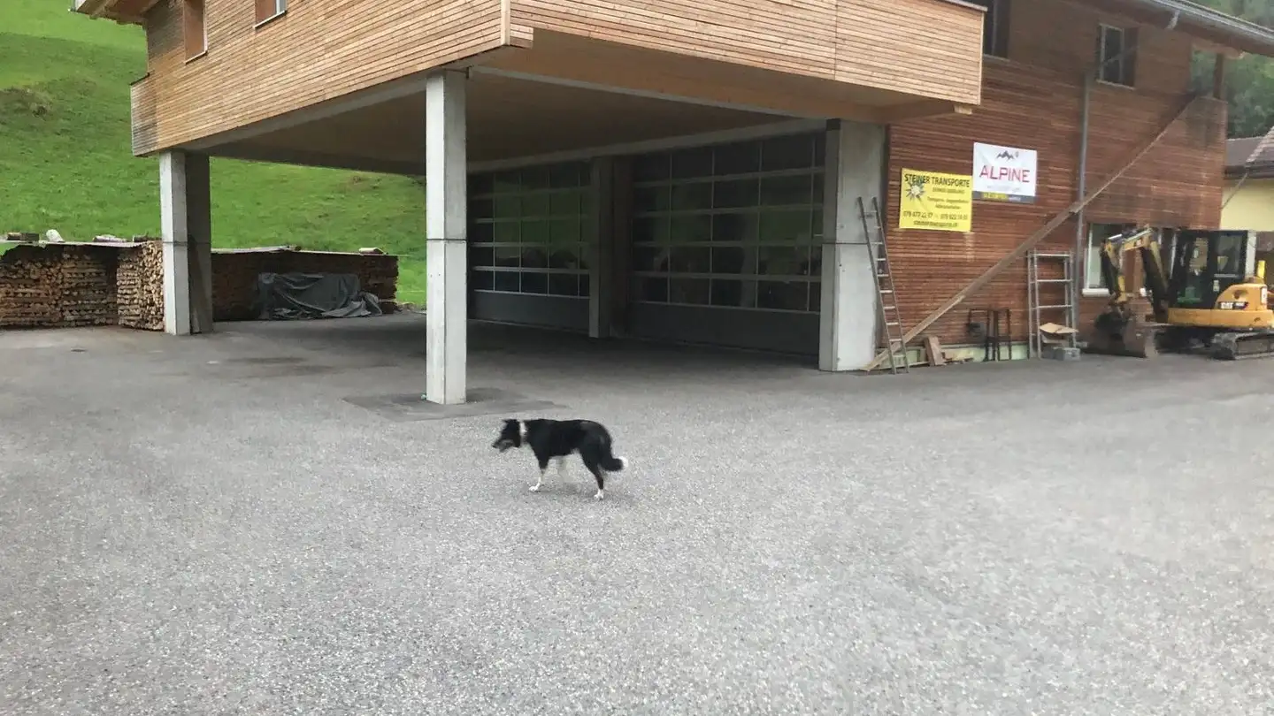 Commerciale in affitto - Reckental 37, 3716 Kandergrund