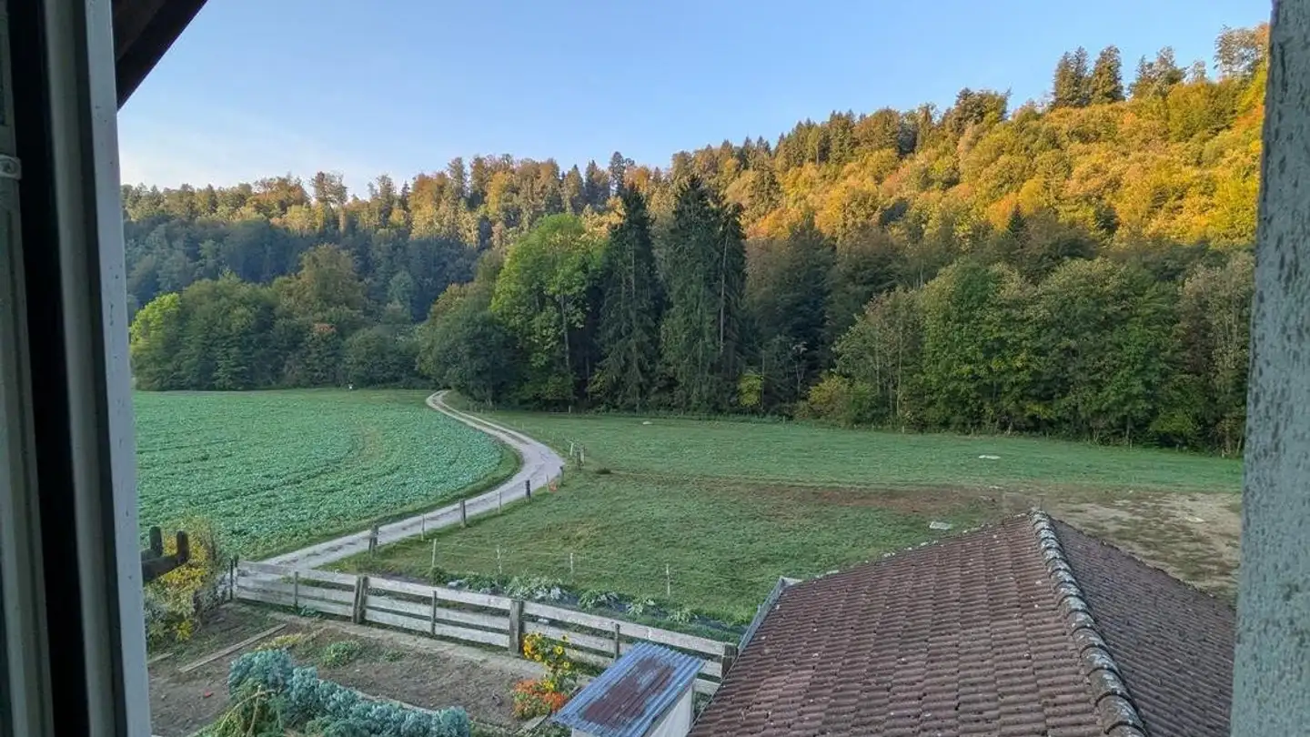 Chambre à louer - Zügnis 2, 8143 Stallikon - Photo 4