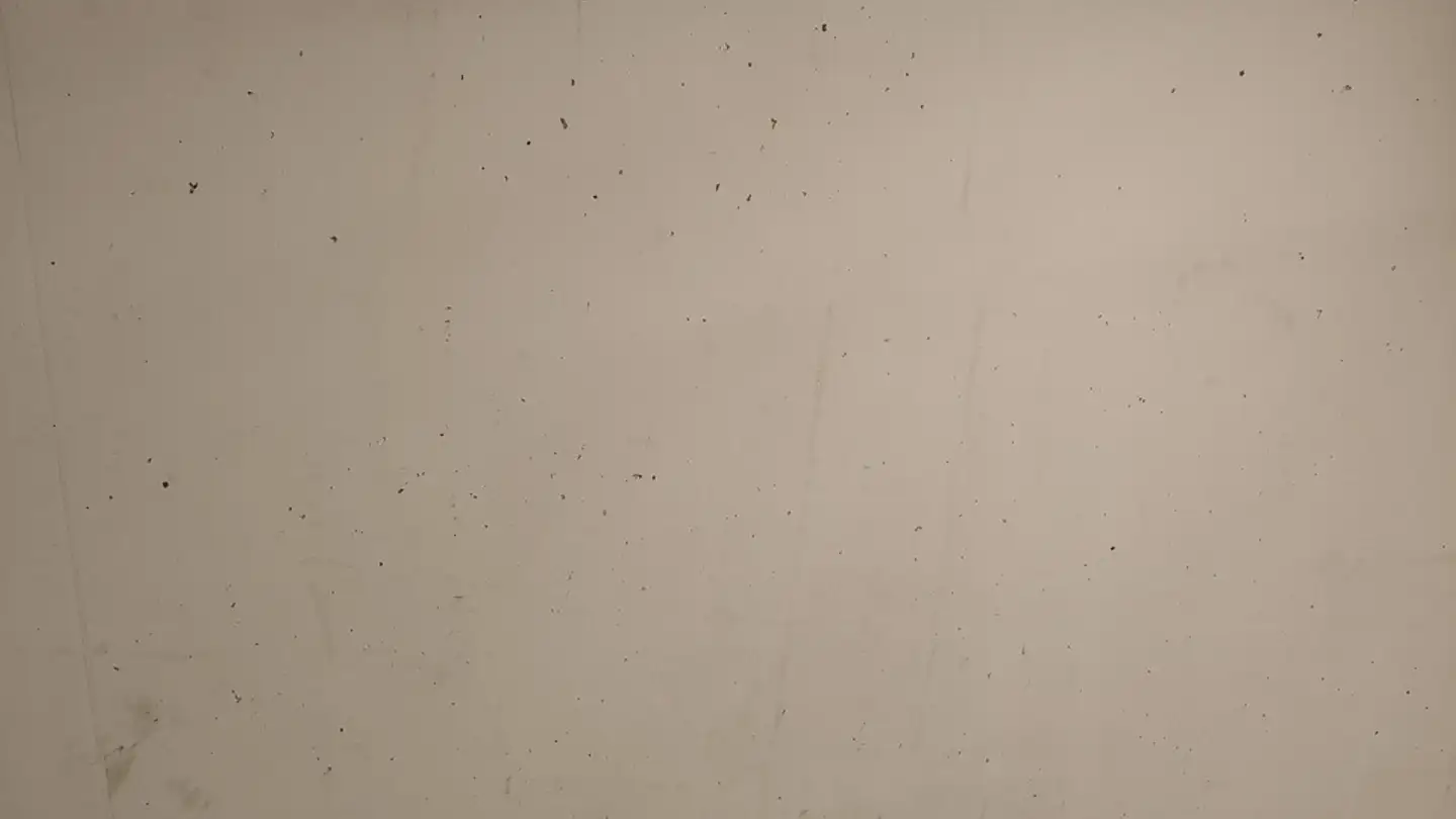 Storage space for rent - Hochstrasse, 4053 Basel - Photo 2