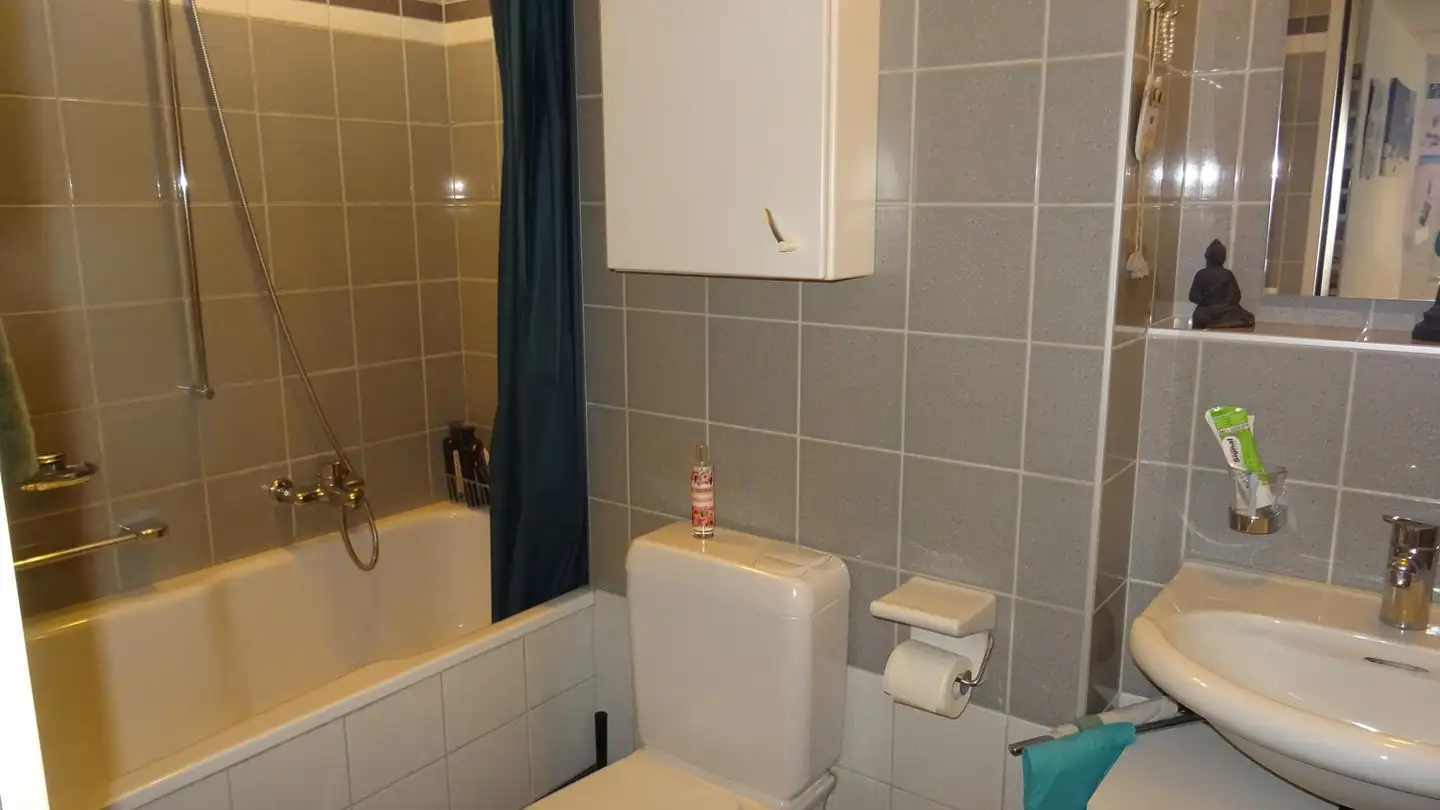 Apartment for rent - Linckweg 9, 3052 Zollikofen - Photo 3