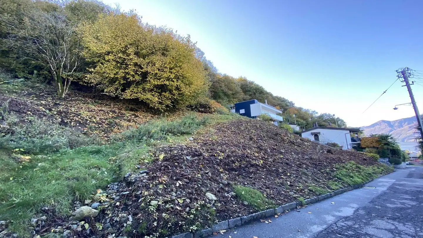 Terrain commercial à vendre - 6576 Gerra (Gambarogno) - Photo 3