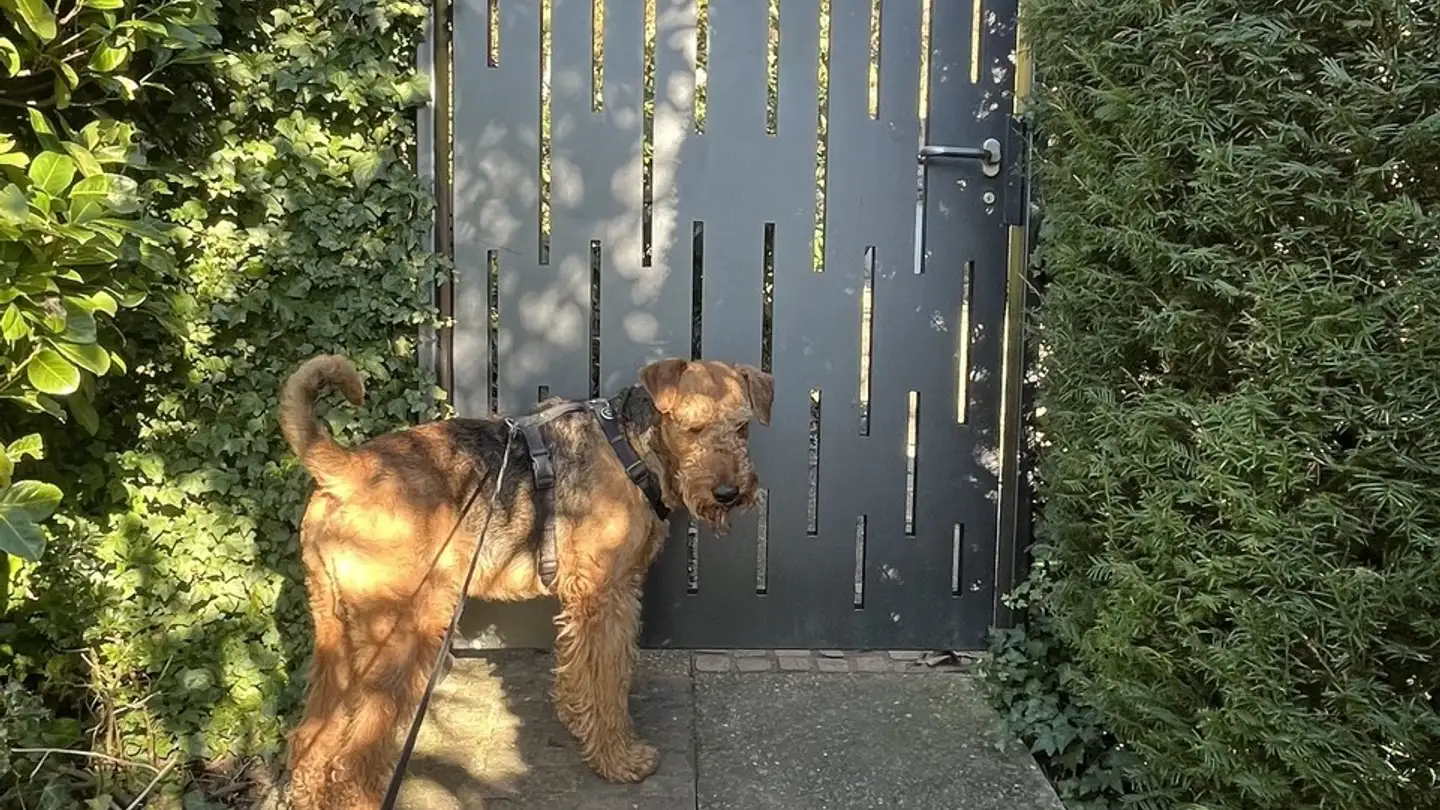 Appartamento ammobiliato in affitto - Sennhofstrasse 47, 8125 Zollikerberg - Photo 2