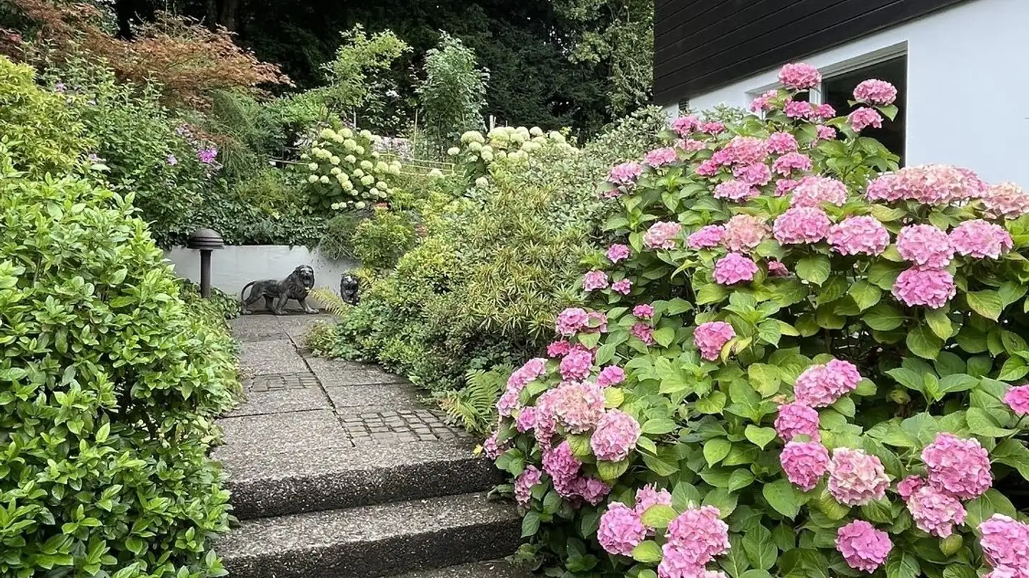 Appartamento ammobiliato in affitto - Sennhofstrasse 47, 8125 Zollikerberg - Photo 3