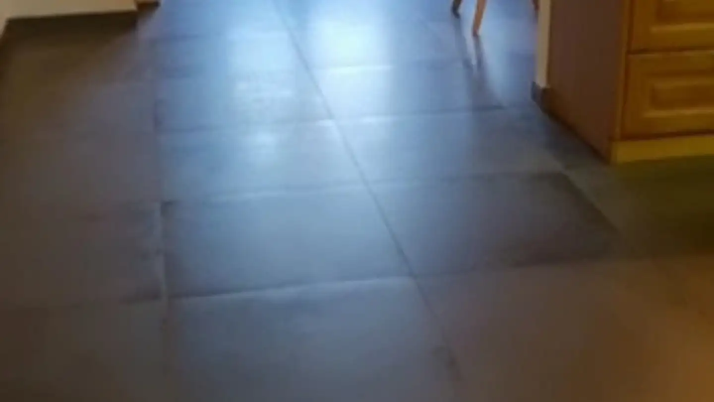 Appartement à louer - Chemin De Chaurion 8, 1288 Aire-la-Ville