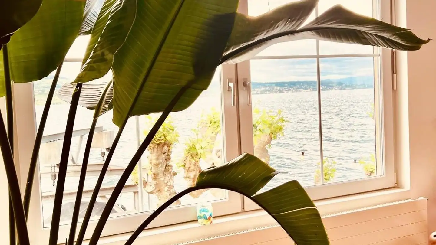 Appartamento a gradini in affitto - Bahnhofstrasse 29, 8810 Horgen