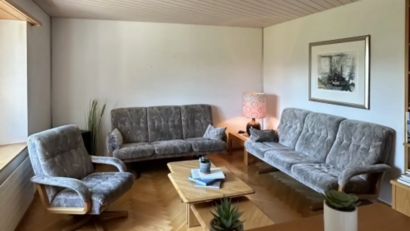 Single house for rent - 8212 Neuhausen am Rheinfall