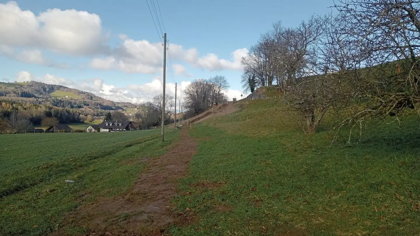 Maison troglodyte à vendre - 1616 Attalens - Photo 3