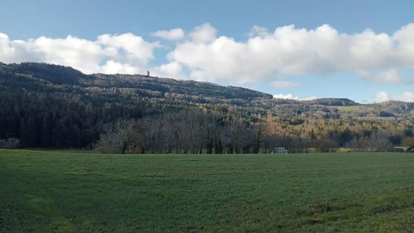 Maison troglodyte à vendre - 1616 Attalens - Photo 4