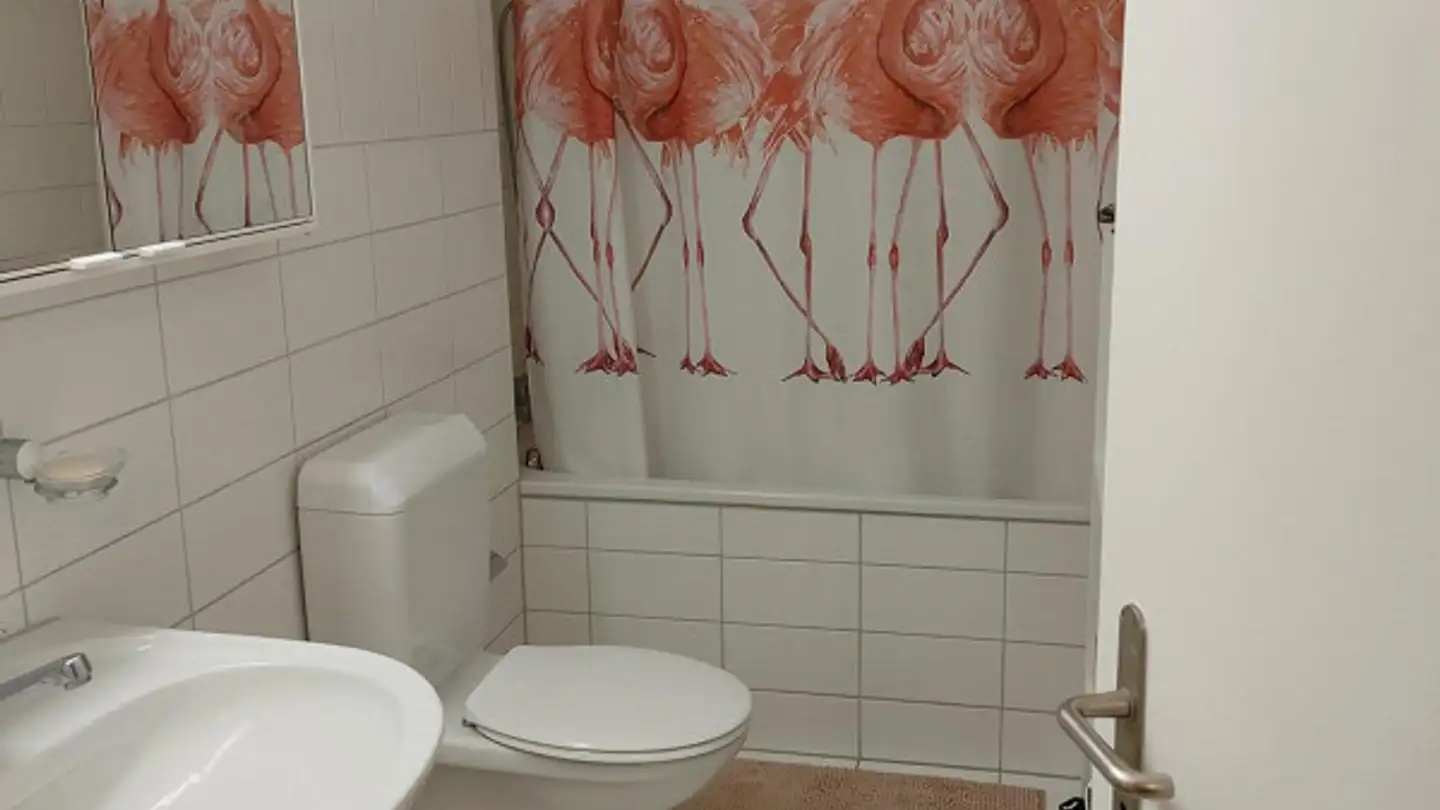 Appartamento in affitto - Lättenstrasse 5, 8308 Illnau - Foto 4