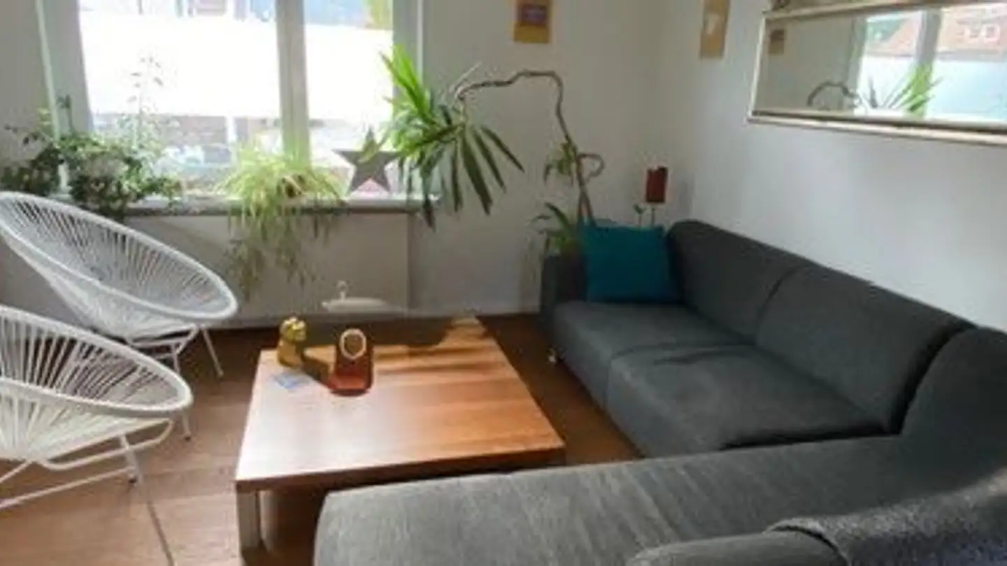 Casa singola in affitto - 8400 Winterthur - Foto 4