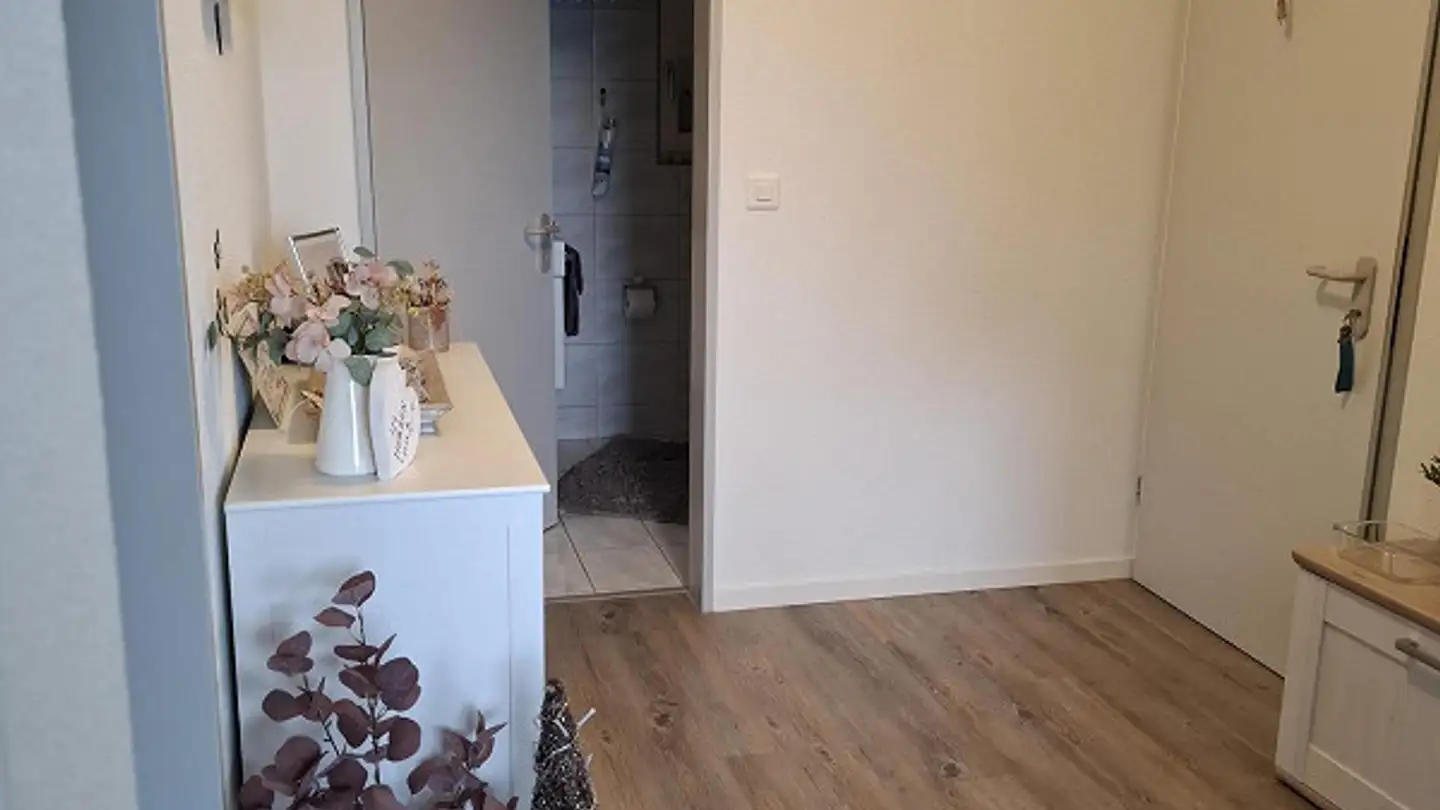 Appartamento in affitto - Busti 2, 6467 Schattdorf - Foto 2