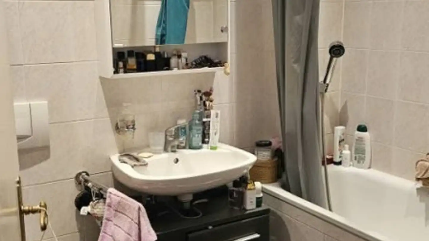 Appartement à louer - Route De Mon-Idée 24, 1241 Puplinge - Photo 3