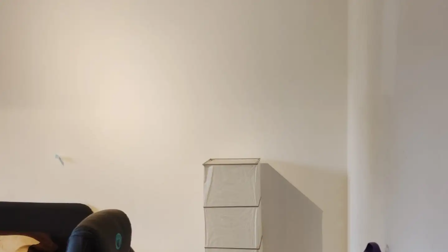 Stanza singola in affitto - Grosswiesenstrasse 132, 8051 Zürich - Photo 3