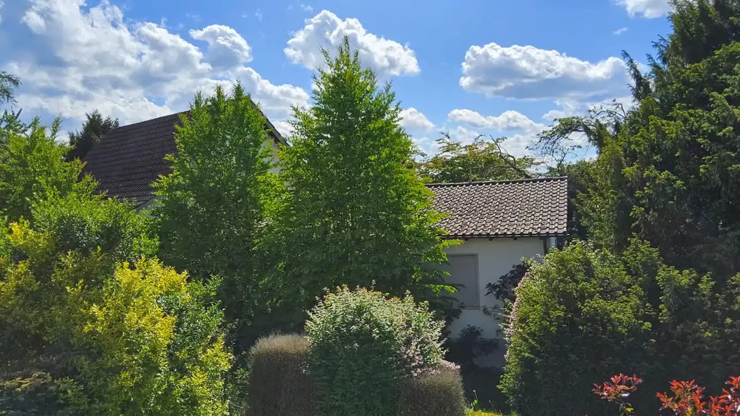 Single house for rent - Obergriesenstrasse 14, 8500 Frauenfeld - Photo 3