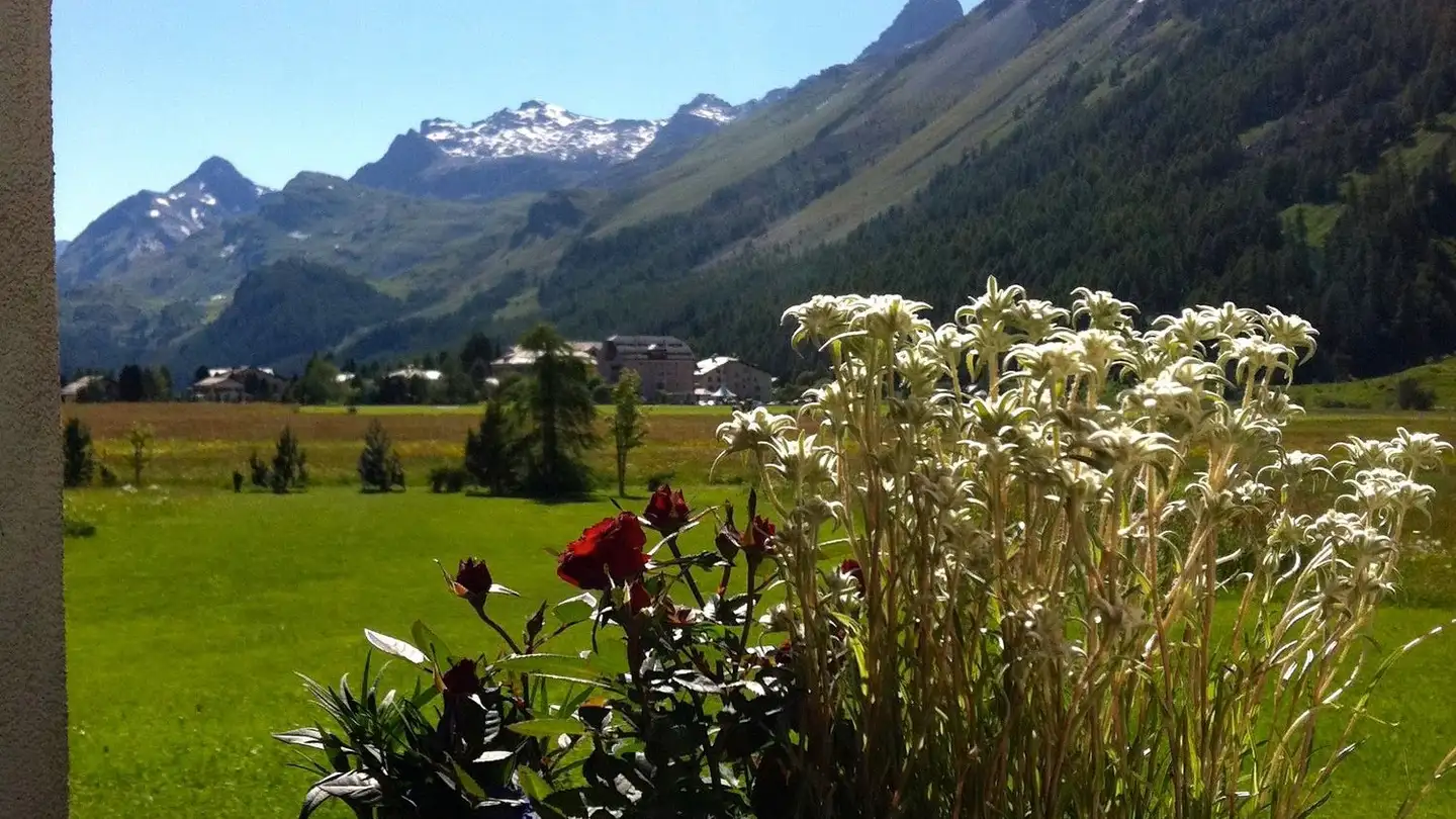 Appartamento in vendita - Seglias 27, 7514 Sils/Segl Maria - Foto 4