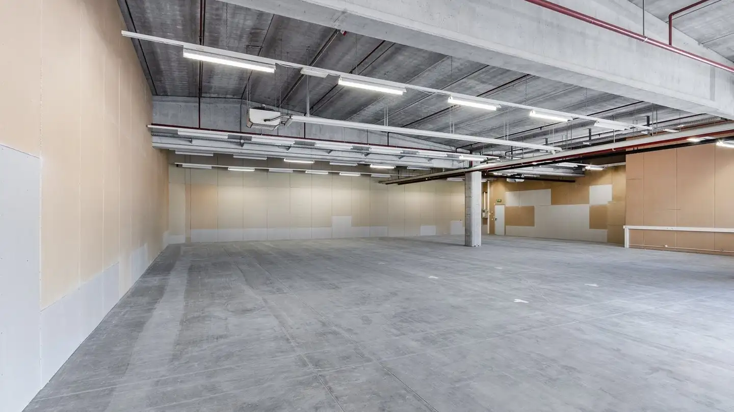 Proprietà industriale in affitto - Via Cantonale 6, 6928 Manno - Foto 3