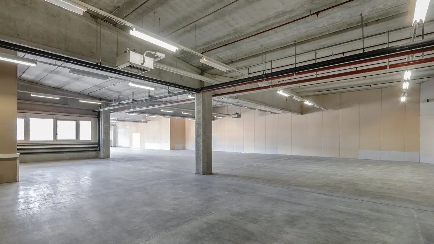 Proprietà industriale in affitto - Via Cantonale 6, 6928 Manno - Foto 4