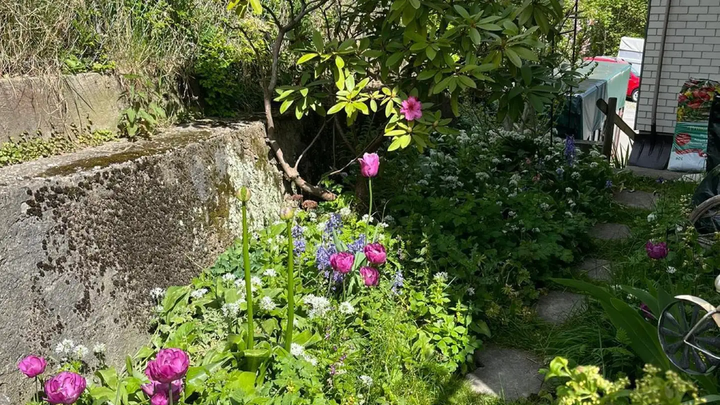 Single house for rent - 9035 Grub AR - Photo 4