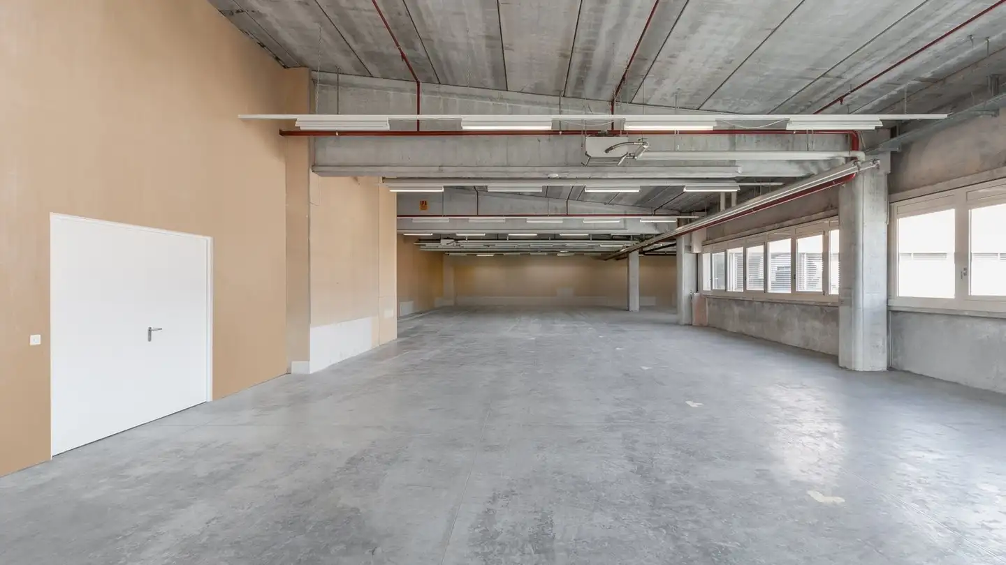 Proprietà industriale in affitto - Via Cantonale 6, 6928 Manno - Foto 2