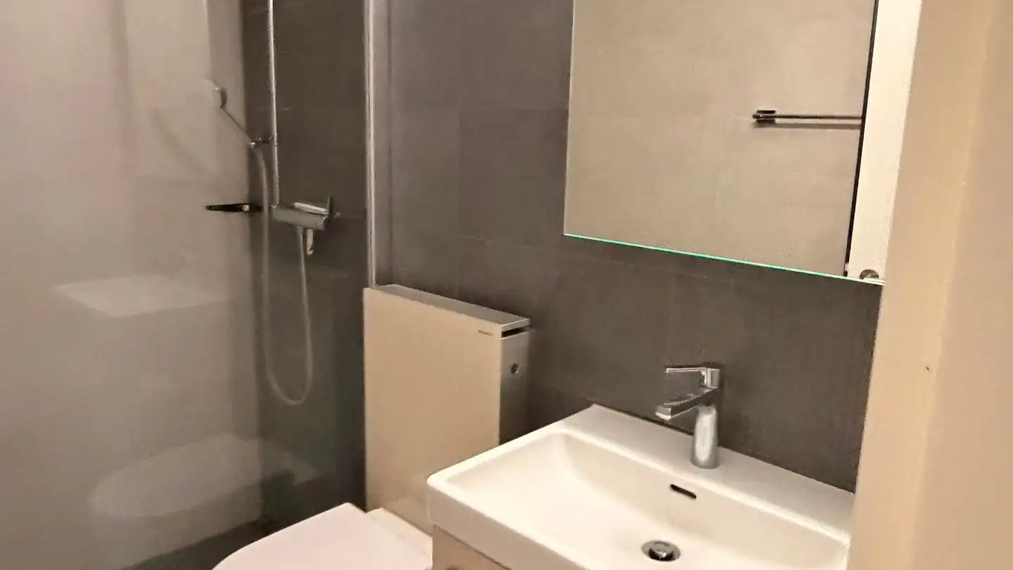 Wohnung mieten - Alte Bruggerstrasse 18, 5506 Mägenwil - Foto 3