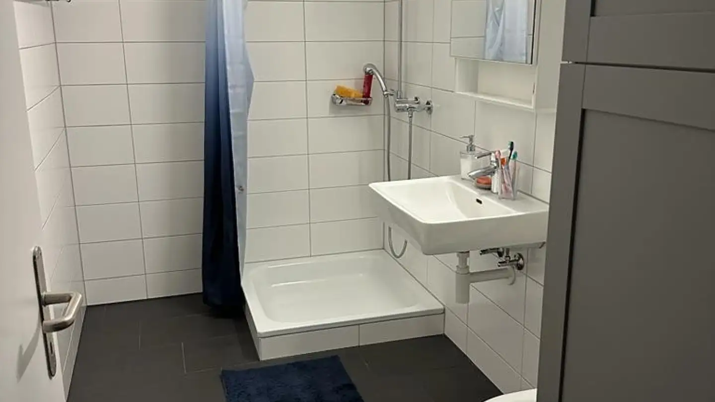 Apartment for rent - 8820 Wädenswil - Photo 2