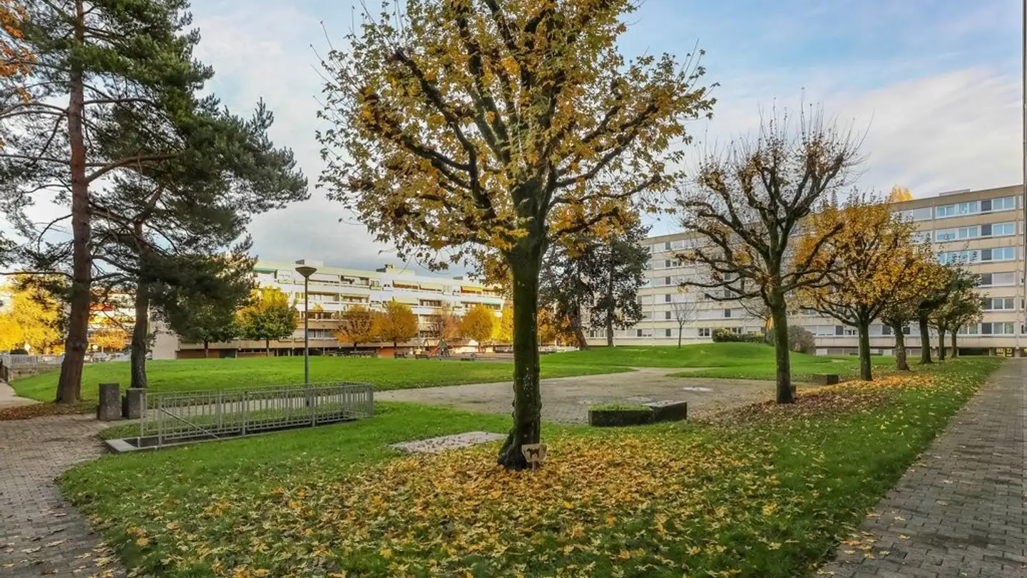 Einzelgarage mieten - Rue Gilbert 30, 1217 Meyrin