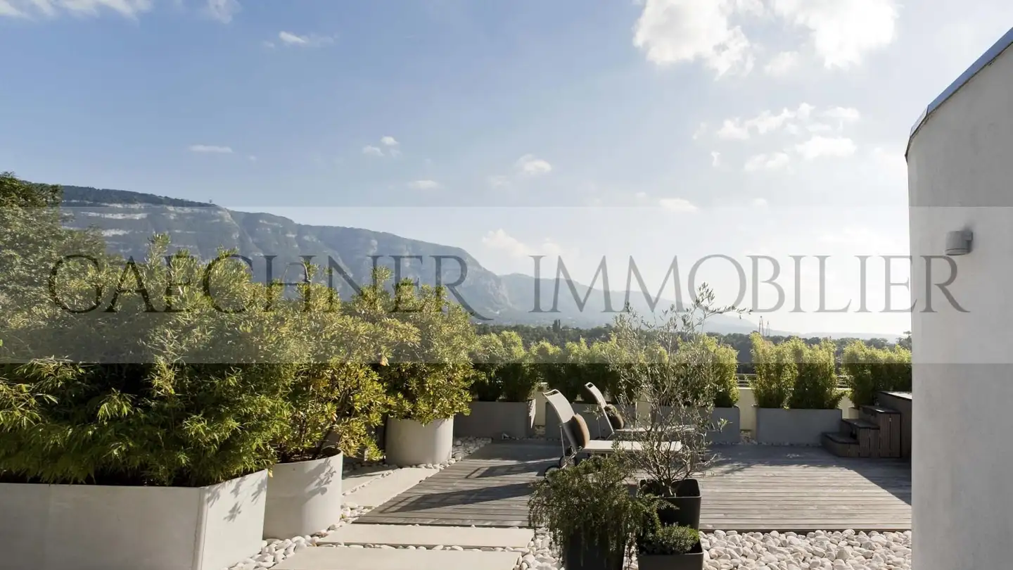 Duplex à vendre - 1206 Genève - Photo 2