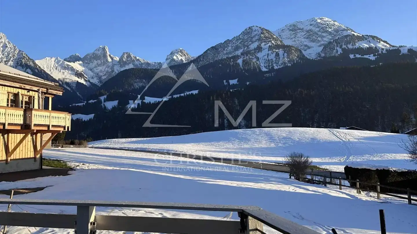 Loft in vendita - 1660 Château-d'Oex - Photo 4